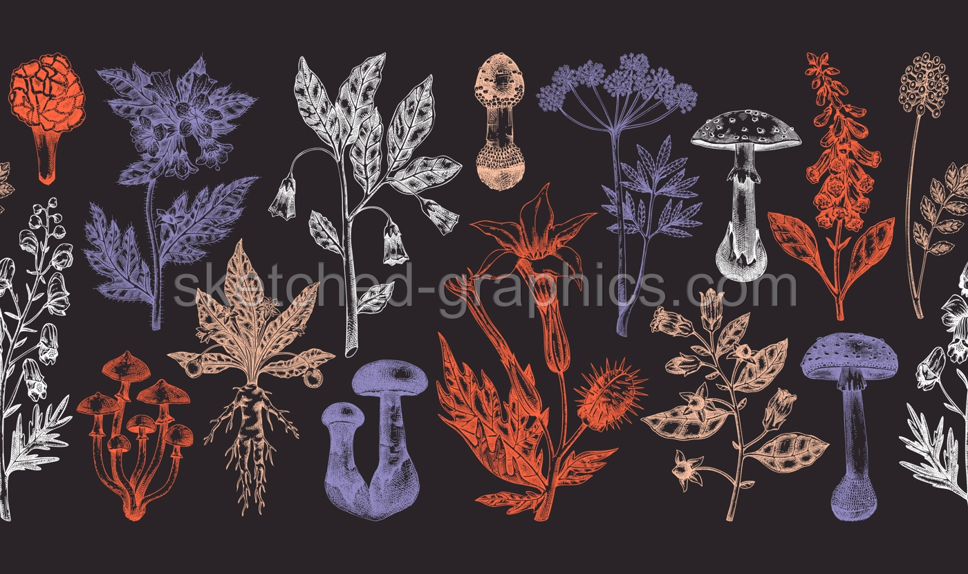Poisonous plants seamless ribbon. Toxic mushrooms hand drawn vector illustration. Witch herbs vintage pattern. Deadly fungi background. NOT AI generated Illustration